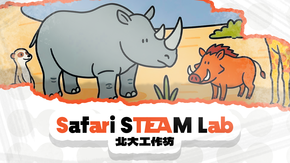 Safari STEAM Lab｜北大工作坊